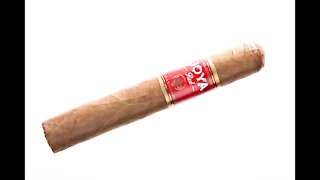 Joya RED Robusto Cigar Review