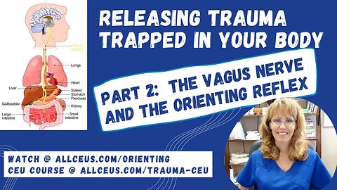 How Trauma Gets Trapped in Your Body Part 2 | Vagus Nerve, Orienting Reflex and the Amygdala