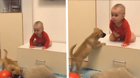 baby is very happy playing with dog