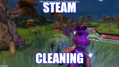 Steam Cleaning - Fort Triumph