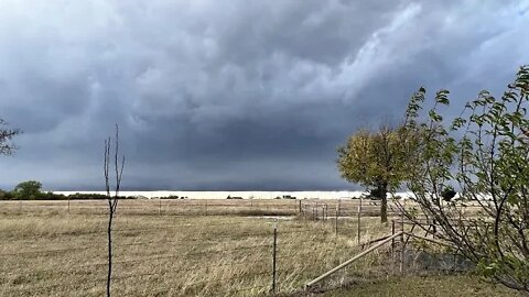 Texas Storm Nov 22 - It Missed Me & Critters - Horses Loved The Cool Weather