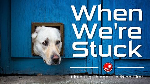 WHEN WE'RE STUCK - God Wants to Help Us - Daily Devotional - Little Big Things