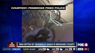 Doorbell camera captures moment man bitten by snake in Broward County