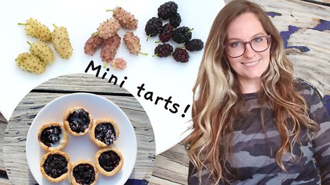 Mulberries and Mini Tarts | Easy foraging in the Texas #wild #homemade #summer