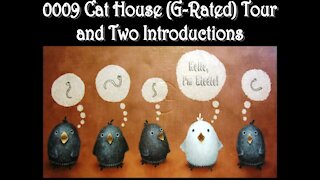 0009 Cat House (G-Rated) Tour and Introducing Twitter and Cookie