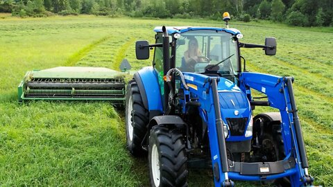 She CUT A RARE 3rd Cutting Grass Hay Michigan harvest - was it WORTH IT?!
