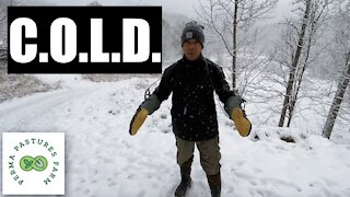 Get C.O.L.D. To Stay Warm!