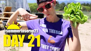 Emerge Aquaponics // Day 21 // Summer to Serve 21