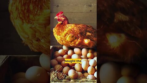 Scientists reveal whether the chicken or the egg came first