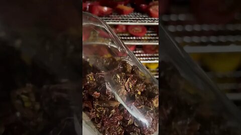Easy Way to Preserve Cherry Tomatoes