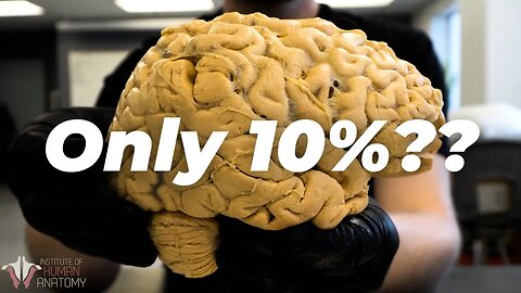 Brain Facts 101: The 10% Myth
