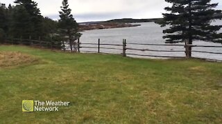 Gusty day along the shores of Newfoundland