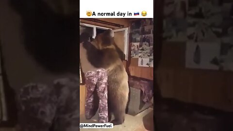 😂🤯😂😱A normal day in 🇷🇺 Russia #shorts #viral #funnyvideo #respect #respectshorts #wow #haha