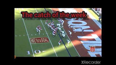 The catch of the week