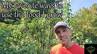 The food I grow and how I cook with it - cold hardy permaculture food forest.