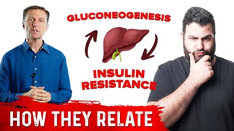 Insulin Resistance and Gluconeogenesis