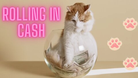 Rolling in Cash (Cats Series 1)