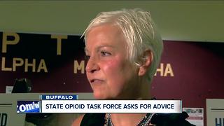 Senate task force sources community leaders on ways to reduce opioid deaths