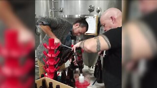 Black Husky Brewing making beer using spruce from City of Milwaukee Christmas tree