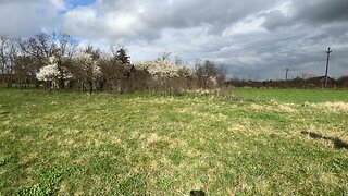 Fields and wind