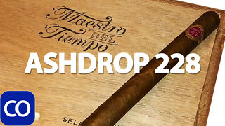 CigarAndPipes CO Ashdrop 228