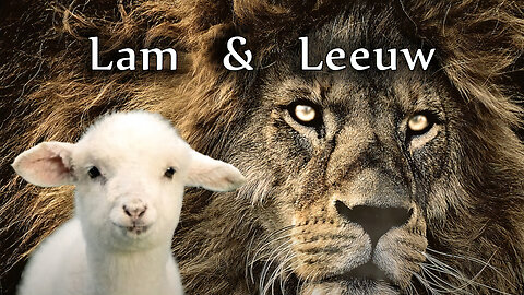 Wachter 173 – Lam & Leeuw