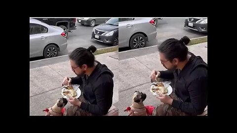 Rapaz faz refeição na calçada após restaurante proibir entrada com animal de estimação