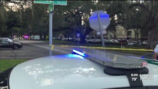 HCSO: Suspect shoots at Hillsborough deputy 8 times during traffic stop, flees the area