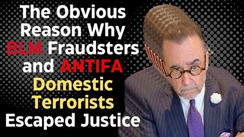 THE OBVIOUS REASON WHY BLM FRAUDSTERS AND ANTIFA DOMESTIC TERRORISTS ESCAPED JUSTICE