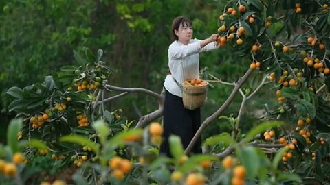 Wealth of nature 💐 fruits garden beautiful ❤️ nature world