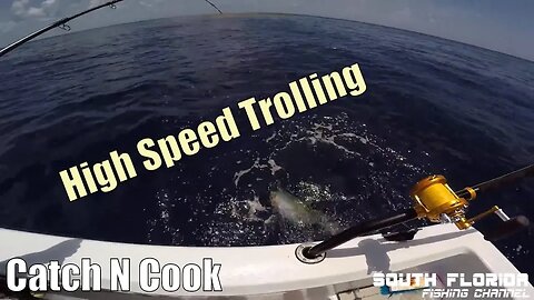 High Speed Trolling | Mahi & Yellow Jack Catch n Cook