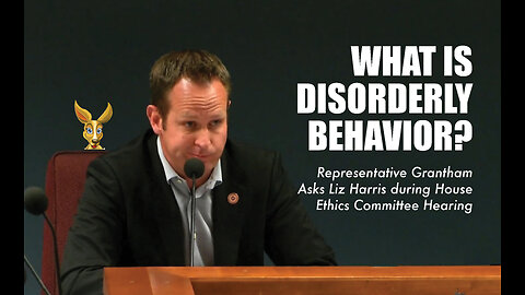 What is Disorderly Behavior?
