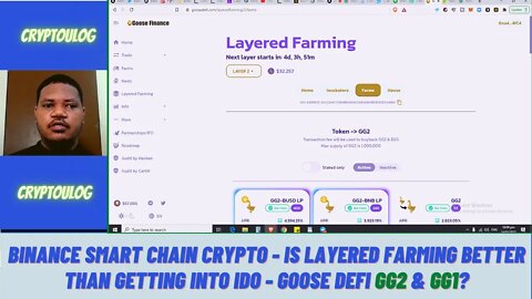 Binance Smart Chain Crypto - Is Layered Farming Better Than Getting Into IDO - Goose Defi GG2 & GG1?