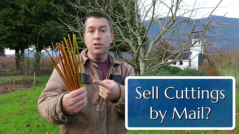 Cuttings by Mail: Stems for Propagation