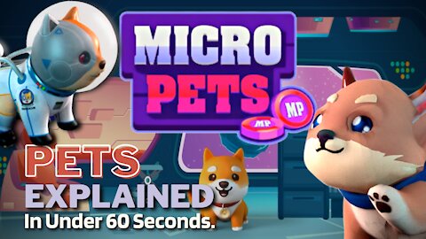 What is MicroPets (PETS)? | MicroPets Token Explained in Under 60 Seconds