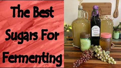 My Favorite Sugars for Fermenting
