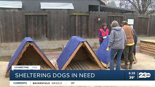 Kern County volunteers building shelters for abandoned dogs