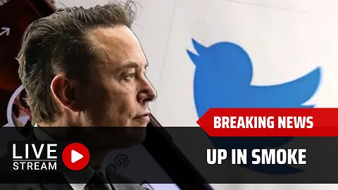 Troll Bait Set: Elon Musk Is Not Leaving Twitter Will Remain CEO.