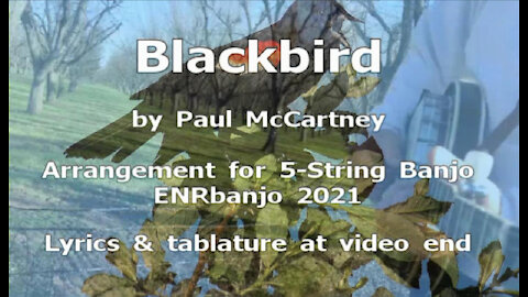 Blackbird