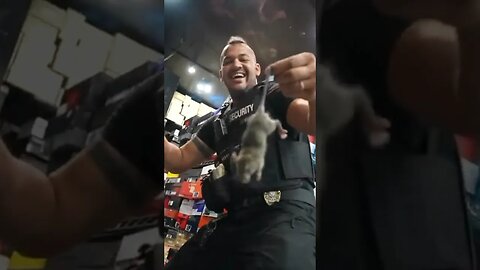 The time we found a rat in store 🤢😂