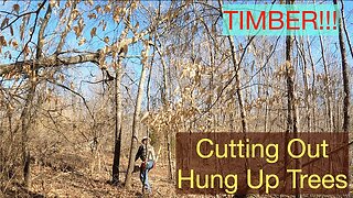 Timber!!! Cutting out Hung up Trees