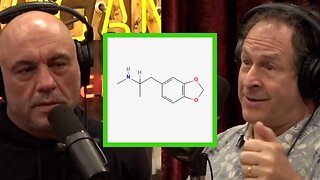 Rick Doblin Debunks Myths and Details Breakthroughs in MDMA Research.