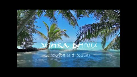 Tranquil, Relaxing Tropical Beach Ambiance (4K HD) Sound of Soft Ocean Waves - 8 Hours of Calm Peace