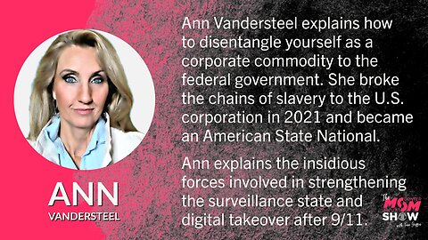 Ep. 260 - Ann Vandersteel Blows Open Why We are Not a Free Republic but a United States Corporation