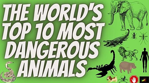 top 10 most Dangerous Animal in the world #shorts #dangerous #animals #world