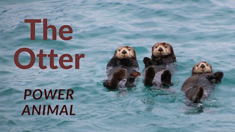 The Otter Power Animal