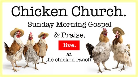 🐓 Chicken Church! Sunday Morning Gospel & Praise. @ the chicken ranch.