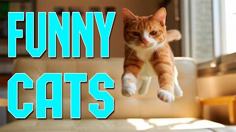 Cute Cats and Funny Animals Compilation 😹 Try Not To Laugh Challenge 💚 Cute Cat Land