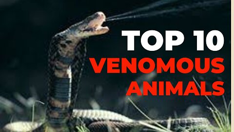 TOP 10 VENOMOUS ANIMALS IN THE WORLD | Daily Pets Life