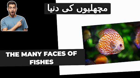 "Meet the Fish: Discovering Various Types"